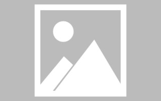 陆丰论文网站建设（网站建设的论文）